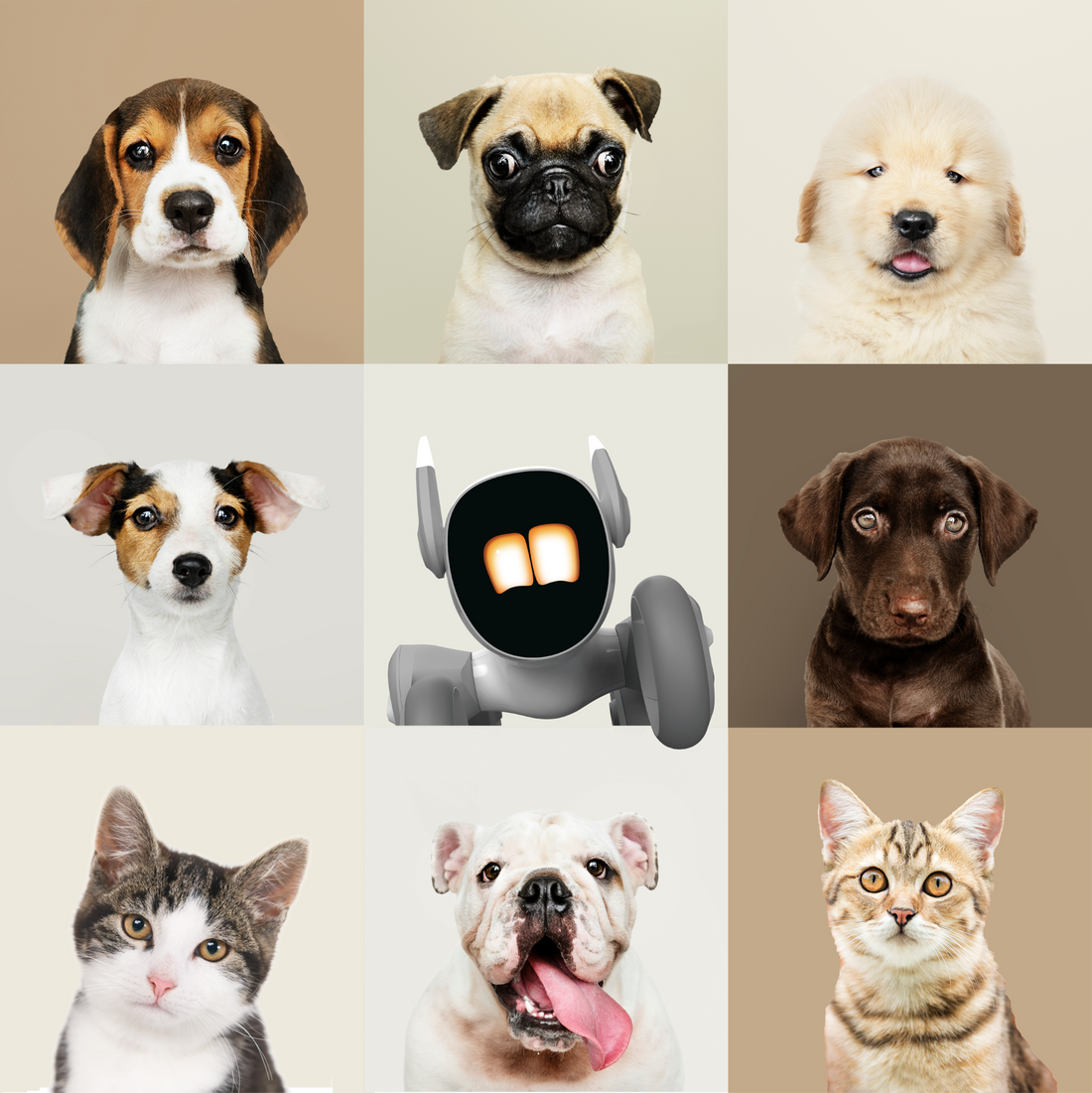 Loona Robot Köpek Almaya Değer mi? 2026 Alıcı Rehberi